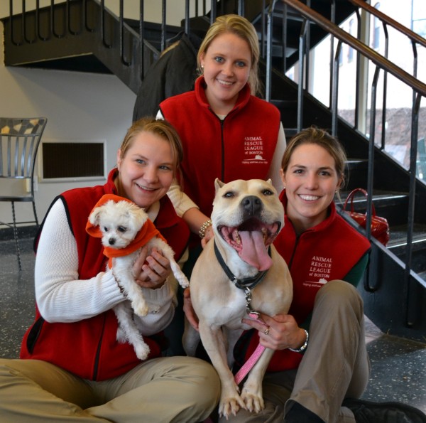 Weston realtors support Animal Rescue League of Boston